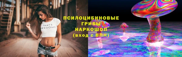 соль ск Кулебаки