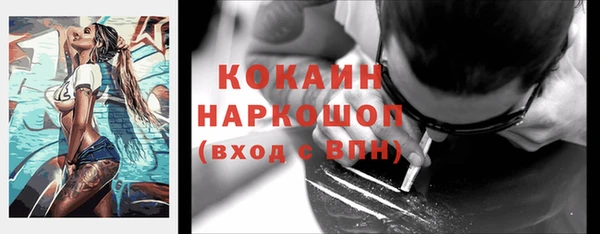 гидра Кукмор