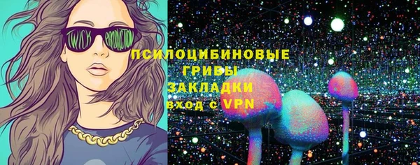 соль ск Кулебаки